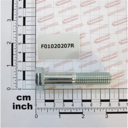 F01020207R Гвинт М14х2х70