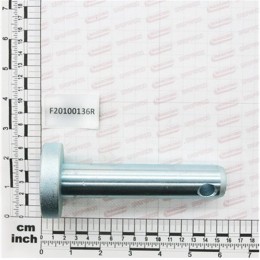 F20100136 Палець D28 L109 C43