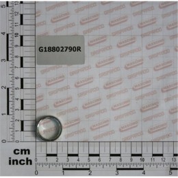 G18802790 Сальник