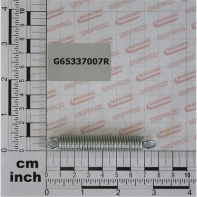 G65337007 Пружина
